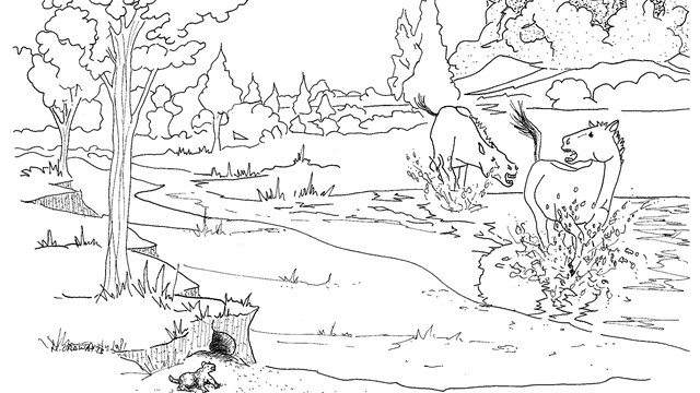 a black and white illustration of two horses running through the water 