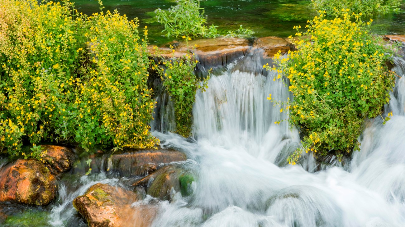 waterfall with greenery