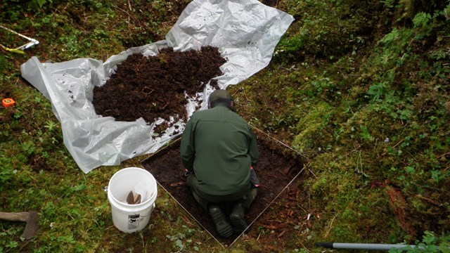 A person doing an archaeological dig.