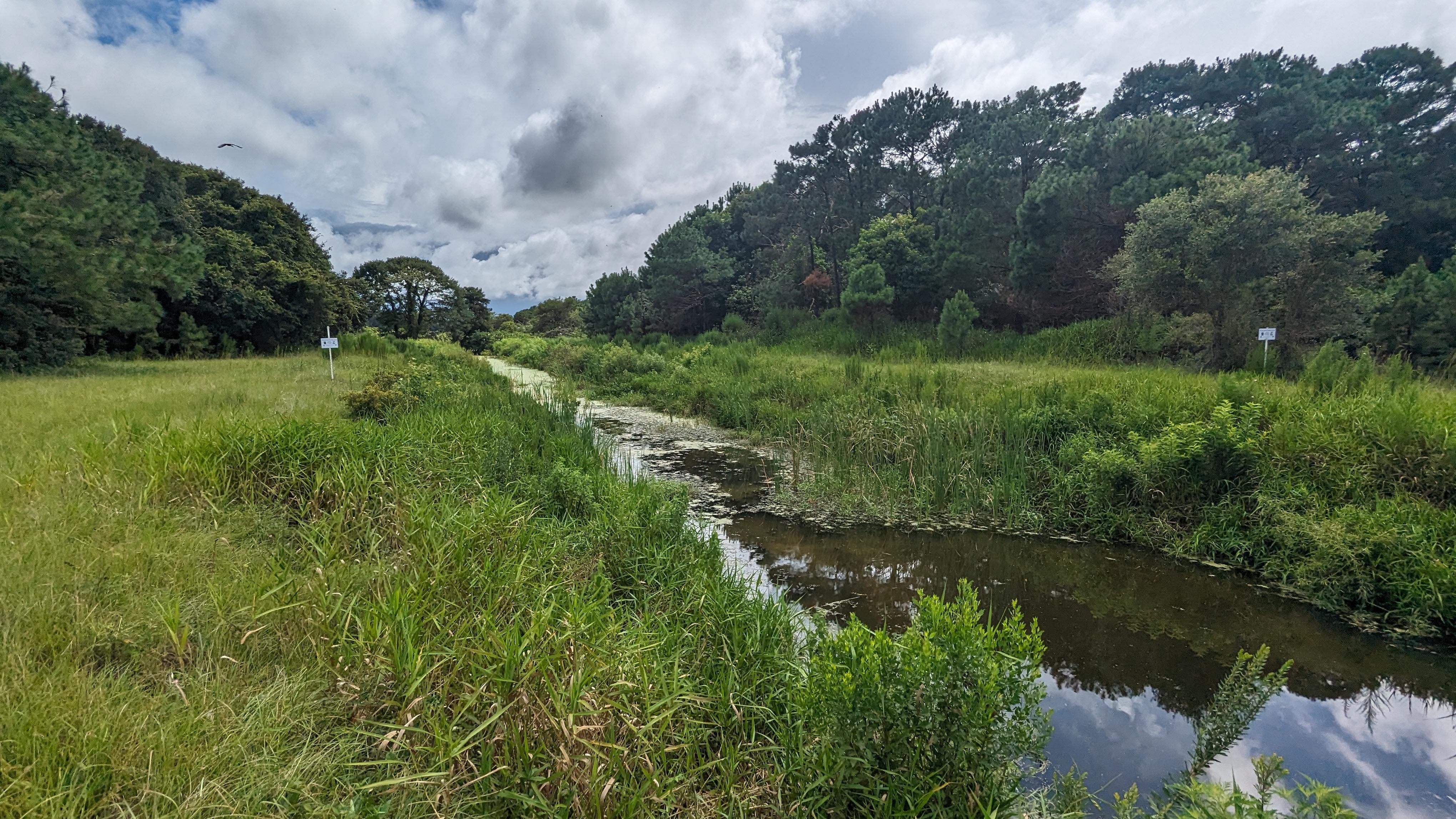 A stream runs through a green grassy field. Cloudy blue skies and dark green trees in background.