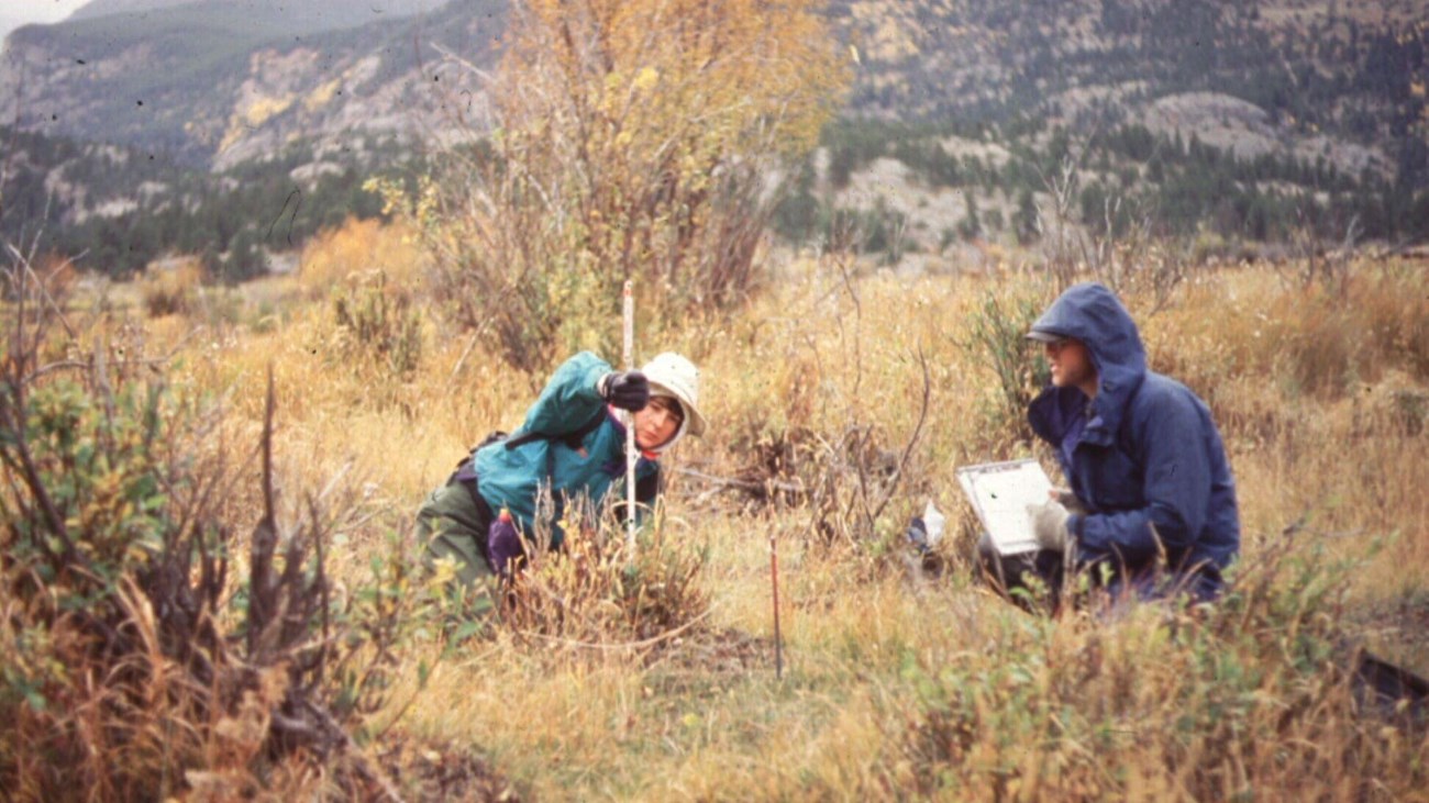 Workers Collecting Data