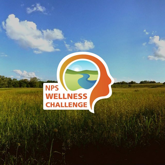 NPS Wellness Challenge logo with backdrop of Wilson's Creek grounds
