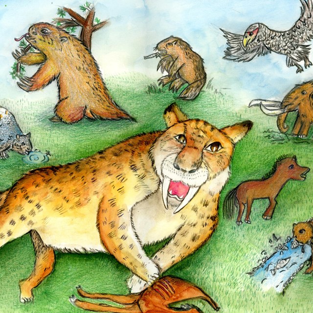 Child's drawing of many prehistoric mammals including a smiladon 