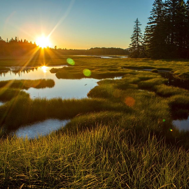Sunset over marshland with patches of water and grasses