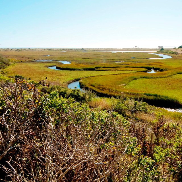 a river drainage winds through wetlands on its way to the ocean