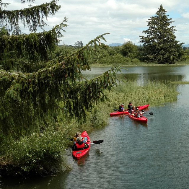 kayakers rest in an offshoot of a river