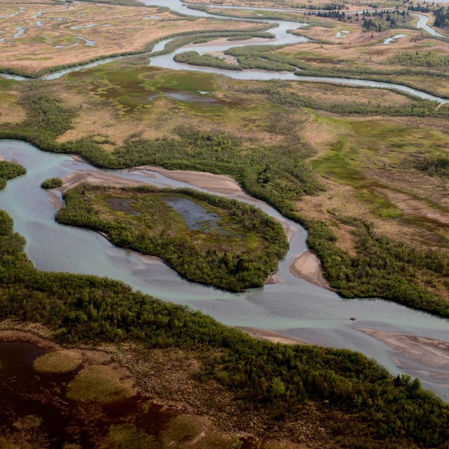 braided rivers flow through marshlands