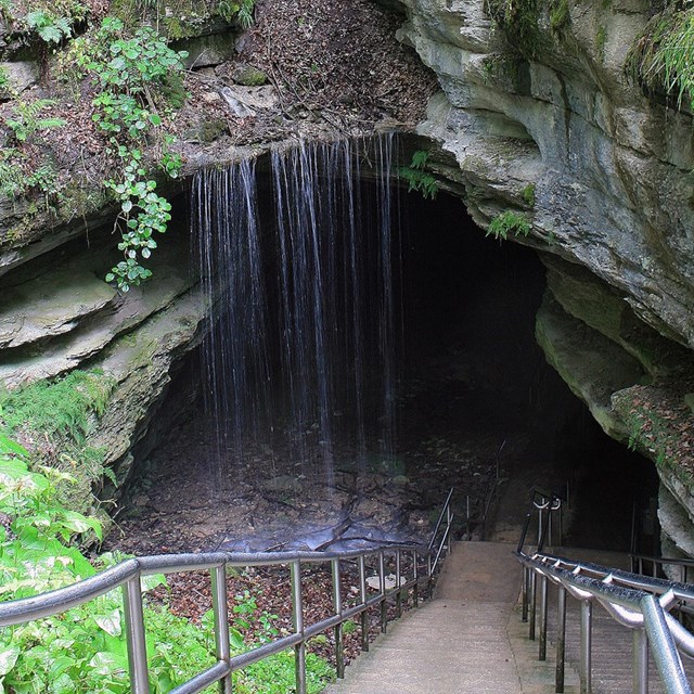 Opening to a cave surrounded by greenery. 