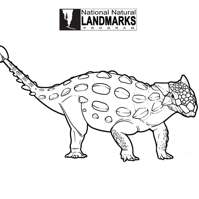 line drawing of an armored dinosaur