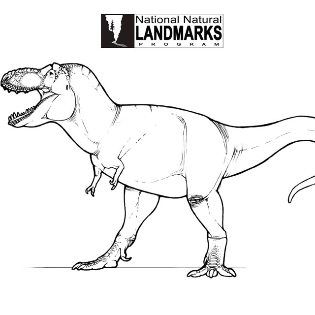 line drawing of dinosaur on two legs