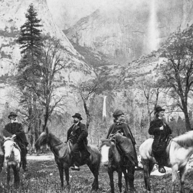 A cabin and wagon in a forest with ferns growing all over the ground.