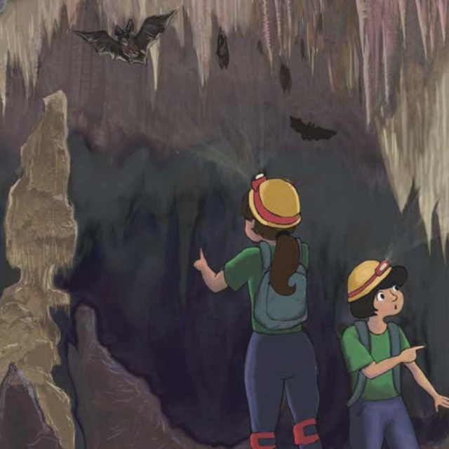 Illustration of two kids exploring a cave with bats and speleothems 