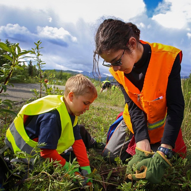 two young people in safety vests kneel and pull weeds