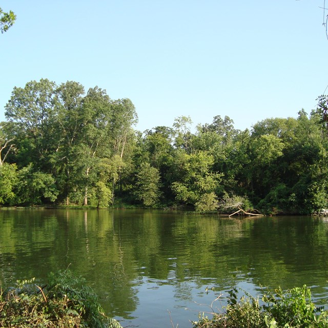 Calm water with vegetated river banks.