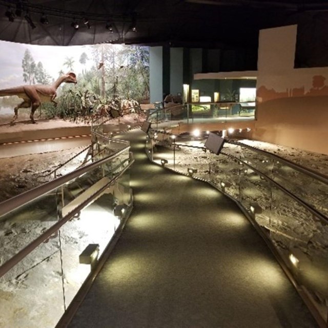 a walkway through a museum with dinosaur footprint fossil