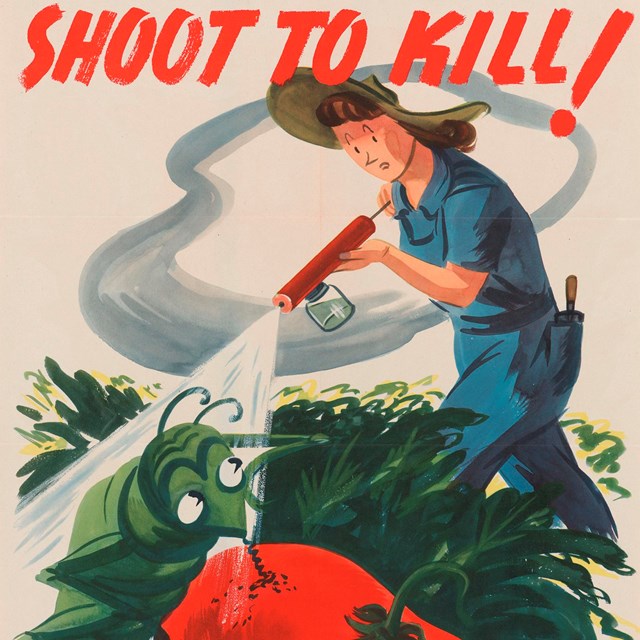 Poster of a woman shooting bug spray at a pest. 