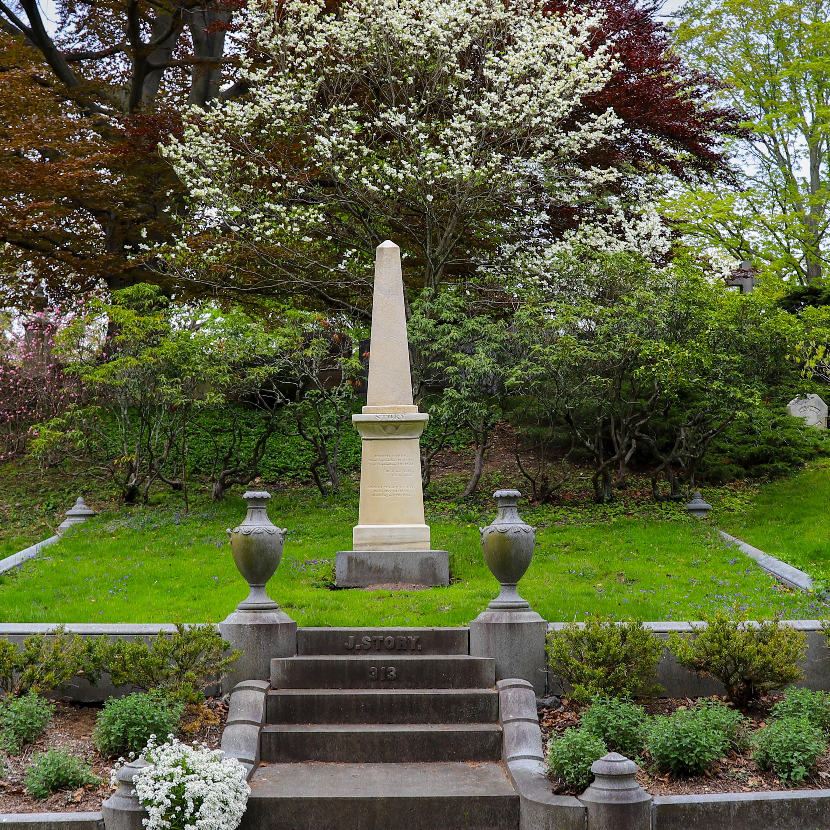 Cemetery with colorful flowers and trees