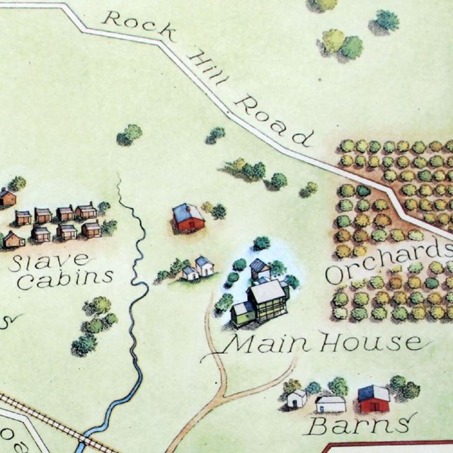 Photo of plantation map 