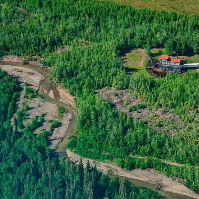 Aerial view of a creek running through a forest of green pines.