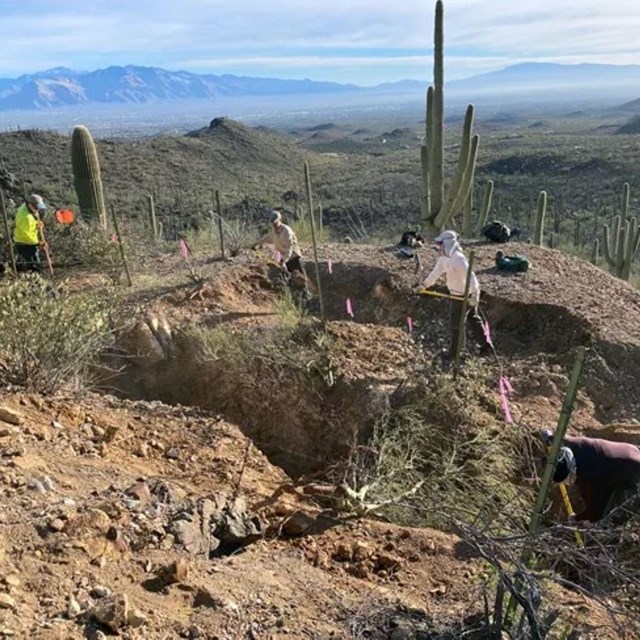 3 people working in a large hole in the desert with lots of cactus around them.