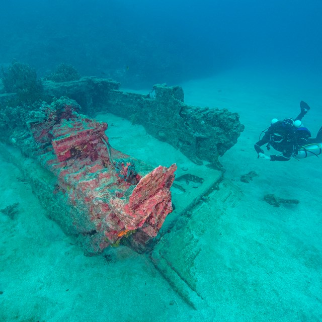 A woman scuba diving next to the wreck of an Amtrac amphibious tractor