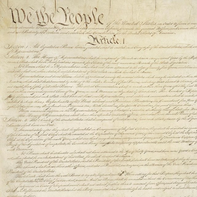 Constitution 