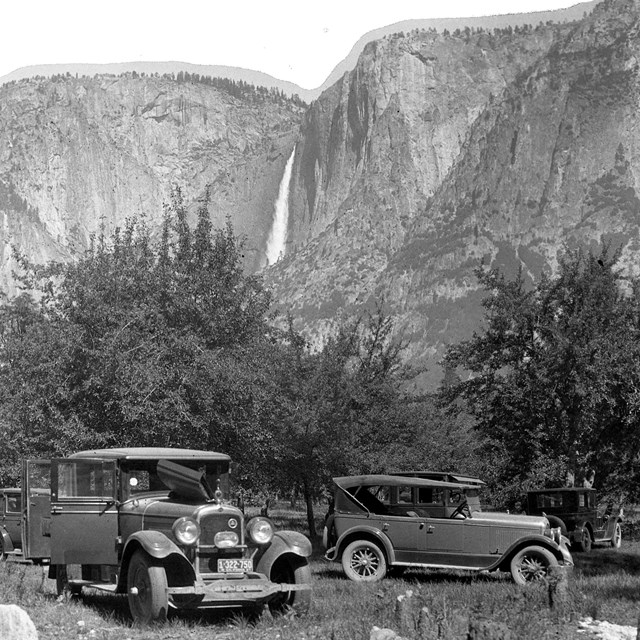 1920s automobiles parked within an orchard with a rock face in the background.