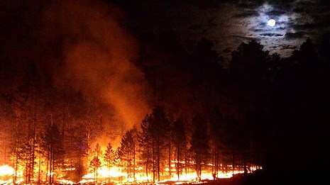 fire burns in trees while a mostly full moon shines through clouds above