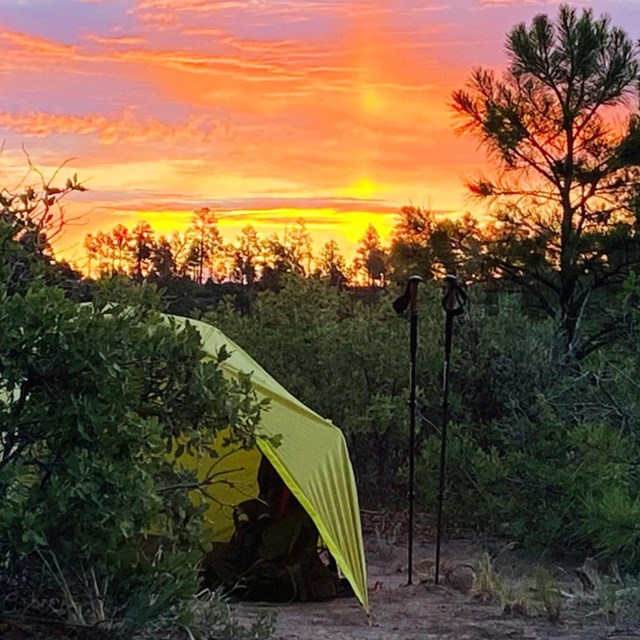 A green tent in front of a pink and golden sunrise.