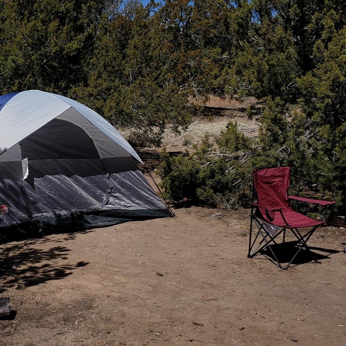 a trailer sits in a campsite surrounded by trees