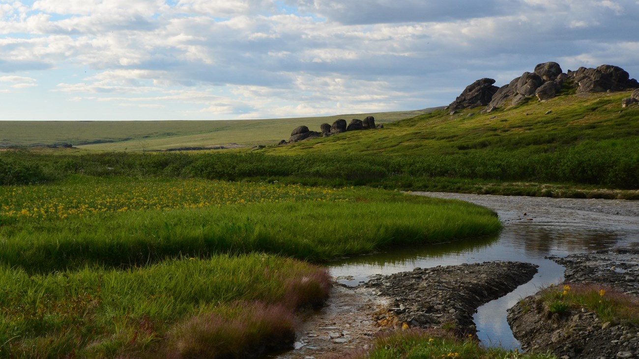 Tors along the tundra.