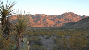 Exploring the Big Bend Backcountry