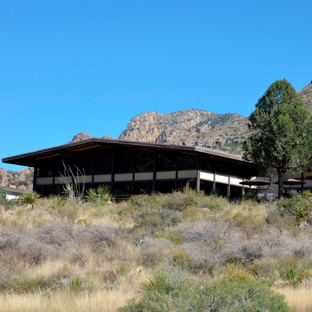 Chisos Basin Improvement Projects