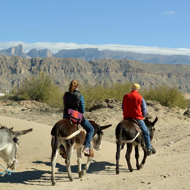 Information about visiting Mexico through the Boquillas Crossing Port of Entry.