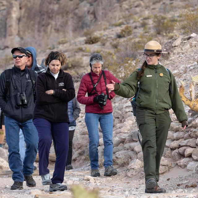 A park ranger leading a group of four visitors on a guided hike in the desert.