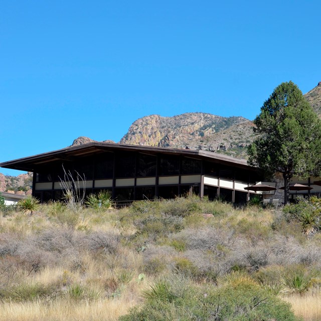 Chisos Basin Improvement Projects