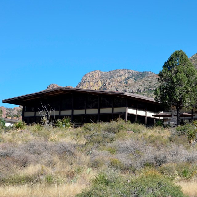 Chisos Basin Improvement Projects