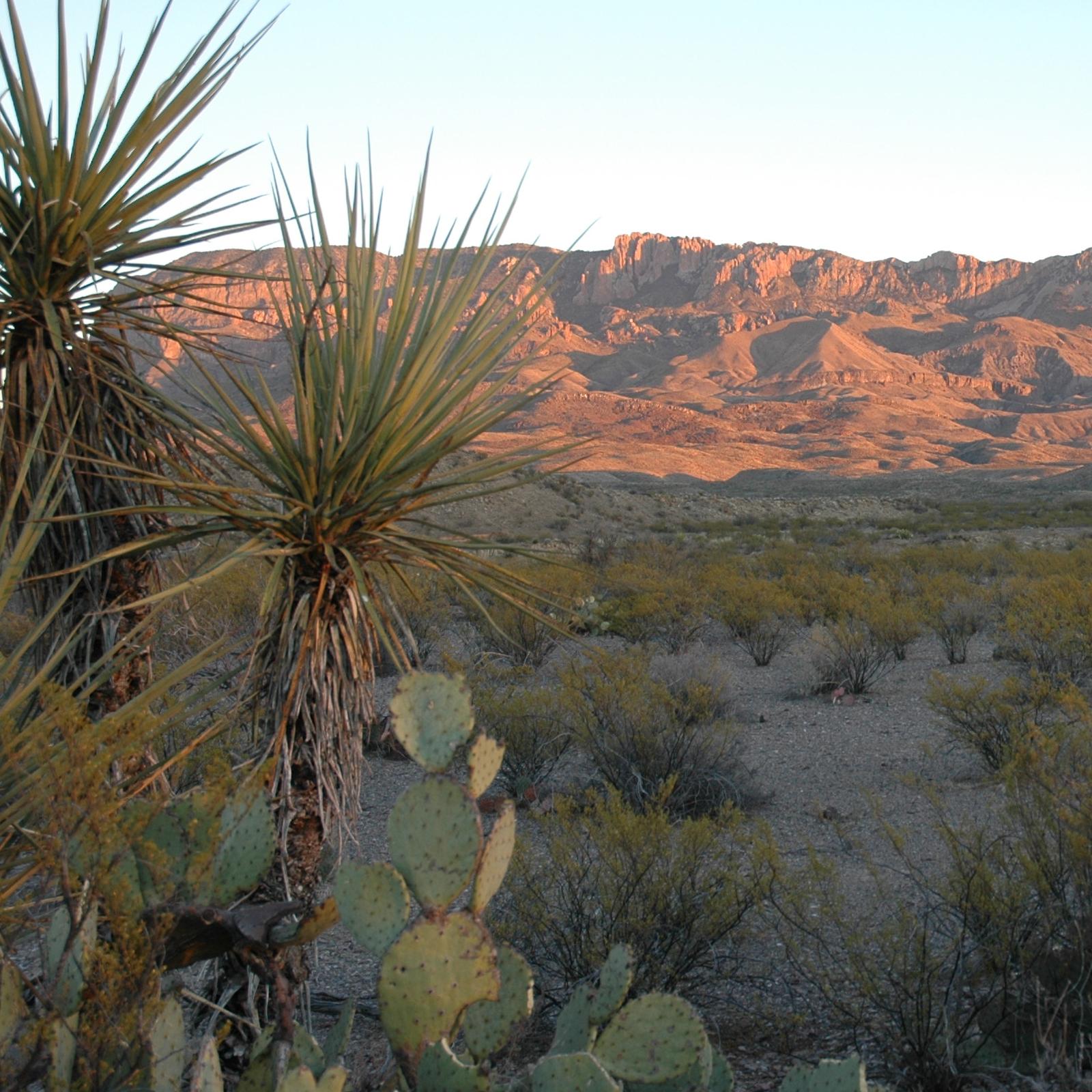 Exploring the Big Bend Backcountry