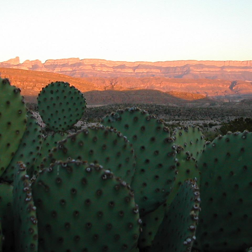 Scenic view of the Sierra del Carmen range