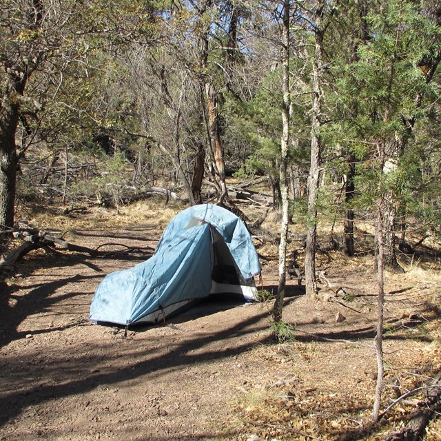 A tent in a campsite surrounded by trees