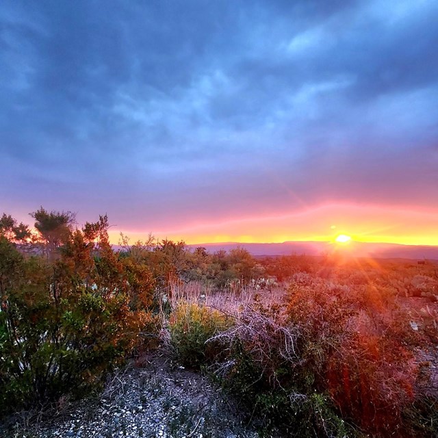 A sunrise over the desert.
