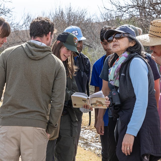 A group of visitors recording bird observation data. One is looking up at the sky.