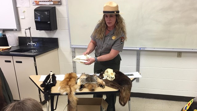 A ranger showing students animal pelts.