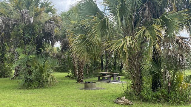 bear island campsite