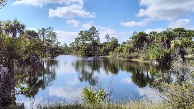 gator head campground
