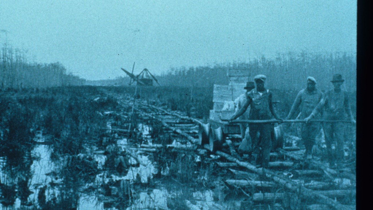 African Americans in Big Cypress
