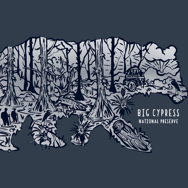 Big Cypress Bear Shirt