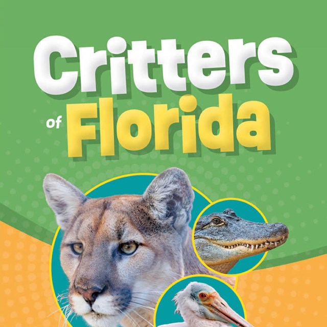 Critters of Florida