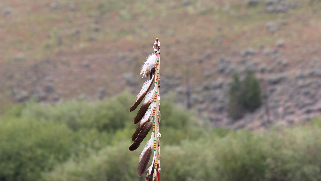 Flag staff with multiple eagle feathers running down the main pole. 