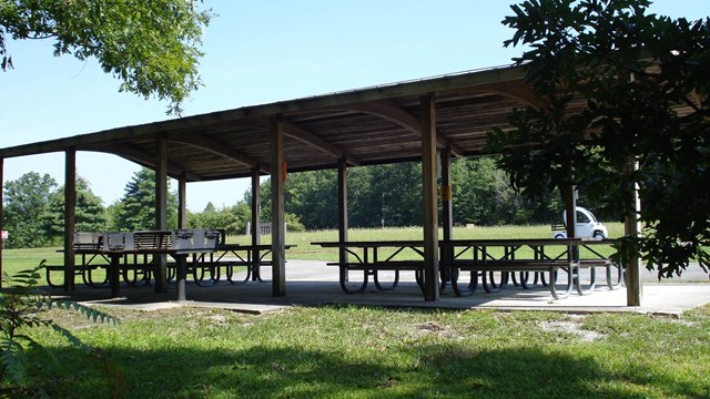 Several picnic tables sit under a shelter near treeline.
